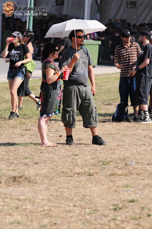 Los más inteligentes, sin duda.