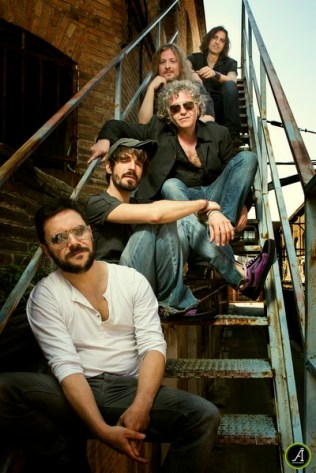 sessión de fotos Beagle