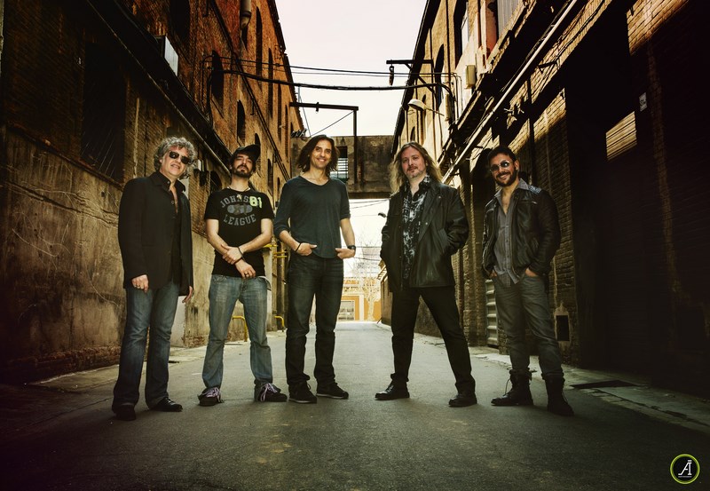 sessión de fotos Beagle