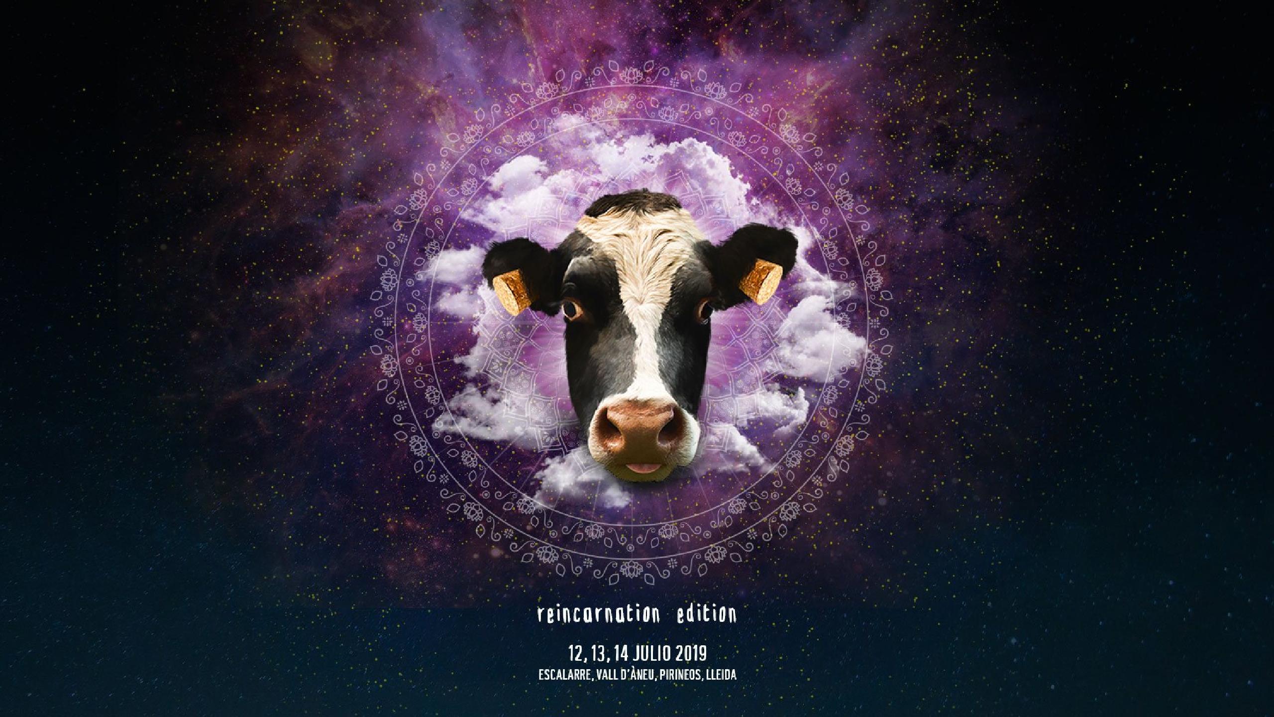 doctor music festival 2019 horizontal