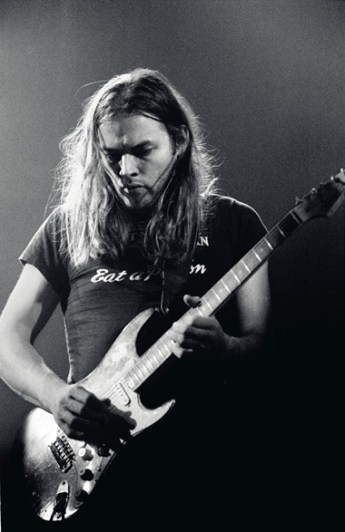 David Gilmour yong.jpg