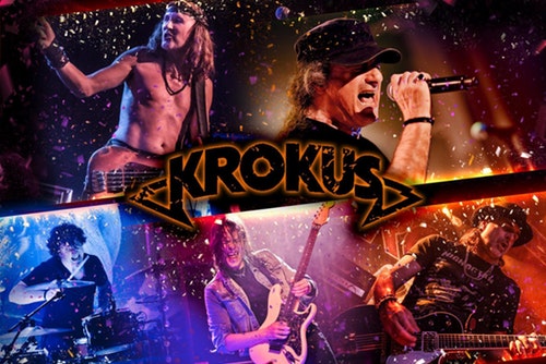Krokus.jpg