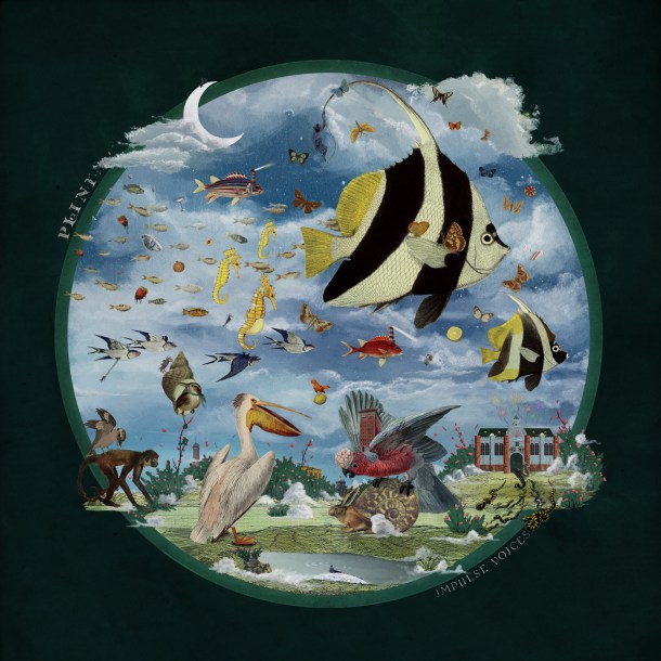 Plini Impulse Voices CD cover