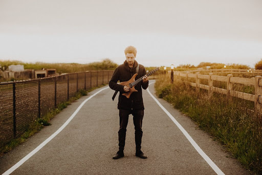 plini impulse voices promo 02